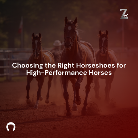 Choosing the Right Horseshoes for High-Performance Horses