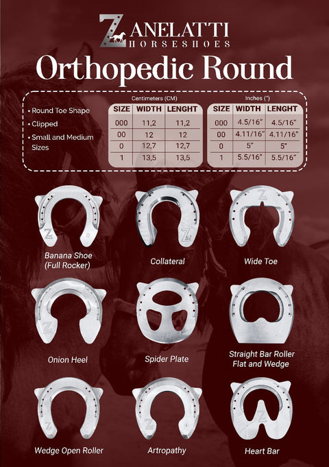 Orthopedic Round