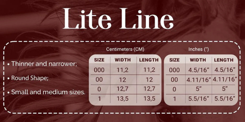 Suspensor Lite Front