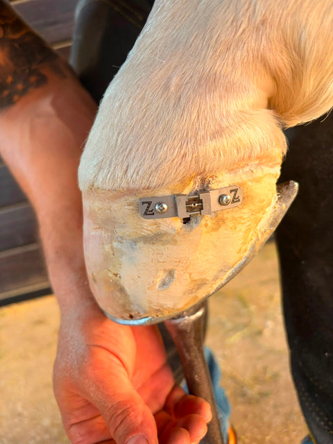 Hoof-crack band